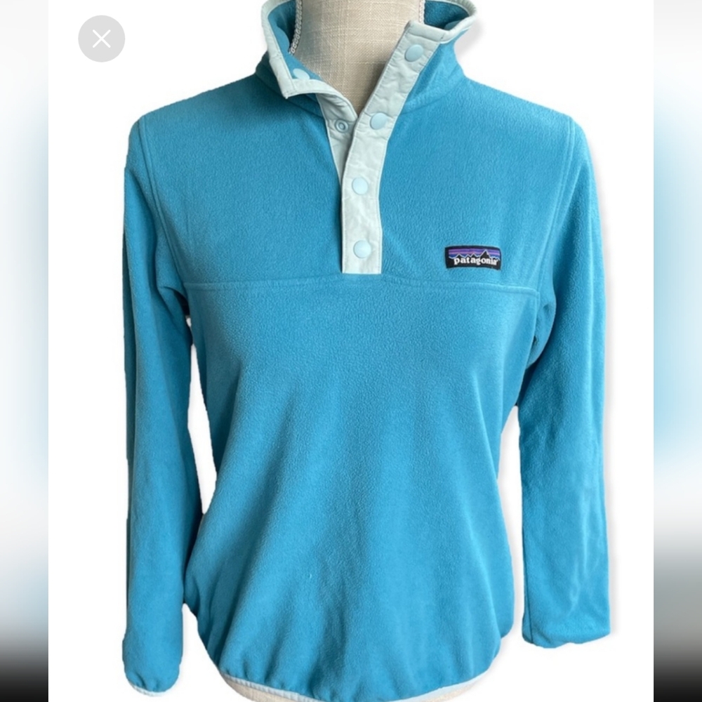 Patagonia Micro D Snap-T Fleece Pullover Sweater